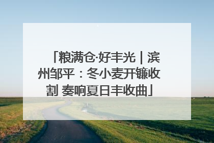 粮满仓·好丰光｜滨州邹平：冬小麦开镰收割 奏响夏日丰收曲