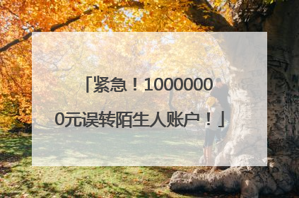 紧急！10000000元误转陌生人账户！