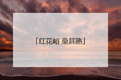 红花峪 桑葚熟