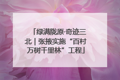 绿满陇原·奇迹三北｜张掖实施“百村万树千里林”工程