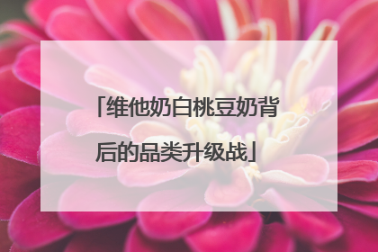 维他奶白桃豆奶背后的品类升级战