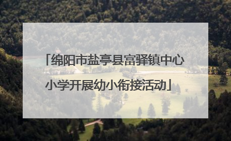 绵阳市盐亭县富驿镇中心小学开展幼小衔接活动
