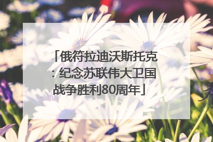 俄符拉迪沃斯托克：纪念苏联伟大卫国战争胜利80周年