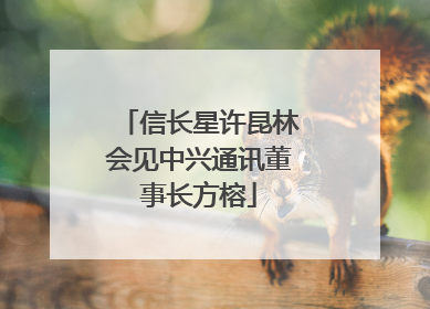 信长星许昆林会见中兴通讯董事长方榕