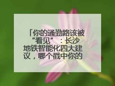你的通勤路该被 “看见”：长沙地铁智能化四大建议，哪个戳中你的出行痛点？