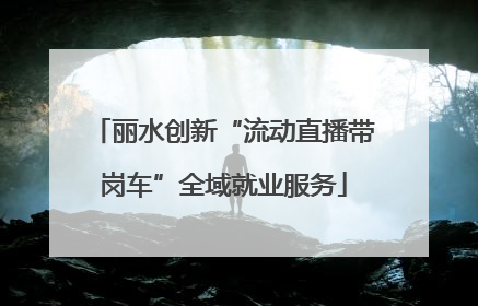 丽水创新“流动直播带岗车”全域就业服务
