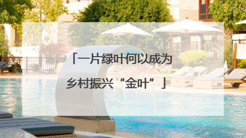 一片绿叶何以成为乡村振兴“金叶”
