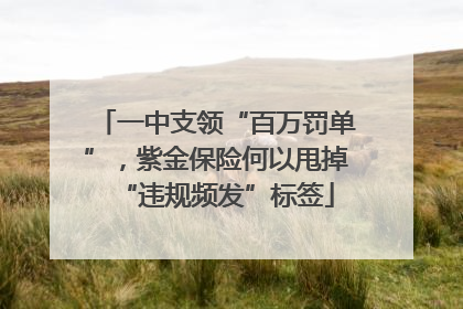 一中支领“百万罚单”，紫金保险何以甩掉“违规频发”标签