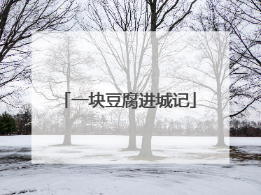 一块豆腐进城记