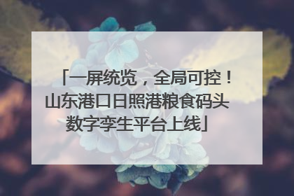 一屏统览，全局可控！山东港口日照港粮食码头数字孪生平台上线