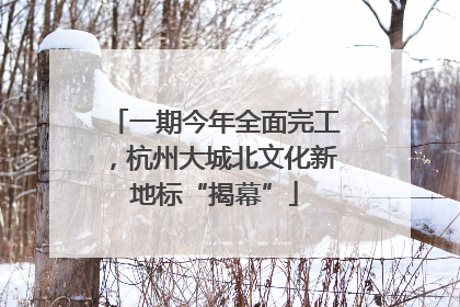 一期今年全面完工，杭州大城北文化新地标“揭幕”
