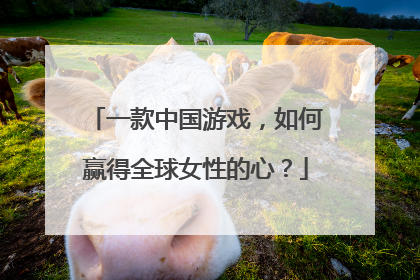 一款中国游戏，如何赢得全球女性的心？