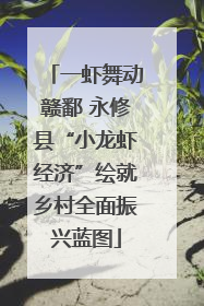 一虾舞动赣鄱 永修县“小龙虾经济”绘就乡村全面振兴蓝图