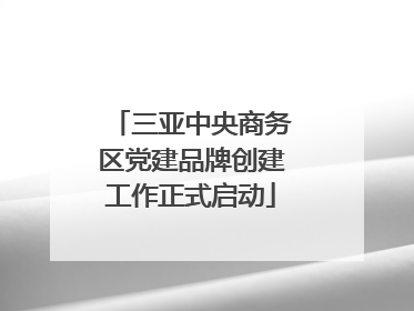 三亚中央商务区党建品牌创建工作正式启动