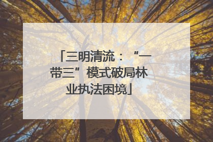 三明清流：“一带三”模式破局林业执法困境