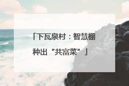 下瓦泉村：智慧棚种出“共富菜”