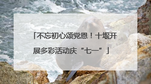 不忘初心颂党恩！十堰开展多彩活动庆“七一”