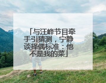 与汪峰节目牵手引猜测，宁静谈择偶标准：他不是我的菜