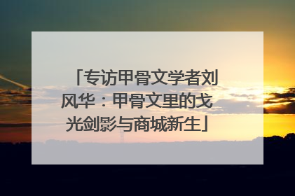 专访甲骨文学者刘风华：甲骨文里的戈光剑影与商城新生