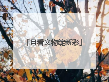 且看文物绽新彩