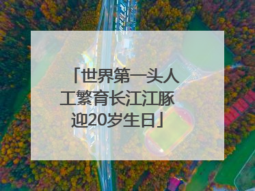 世界第一头人工繁育长江江豚迎20岁生日