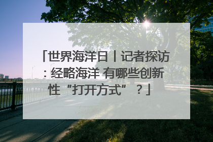 世界海洋日丨记者探访：经略海洋 有哪些创新性“打开方式”？