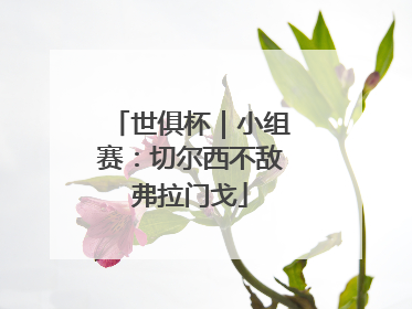 世俱杯｜小组赛：切尔西不敌弗拉门戈