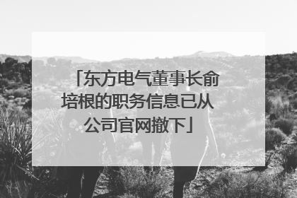 东方电气董事长俞培根的职务信息已从公司官网撤下