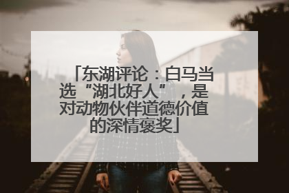 东湖评论：白马当选“湖北好人”，是对动物伙伴道德价值的深情褒奖
