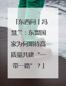 东西问丨冯慧兰：东盟国家为何期待高质量共建“一带一路”？
