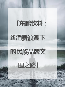 东鹏饮料：新消费浪潮下的民族品牌突围之路