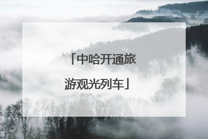 中哈开通旅游观光列车