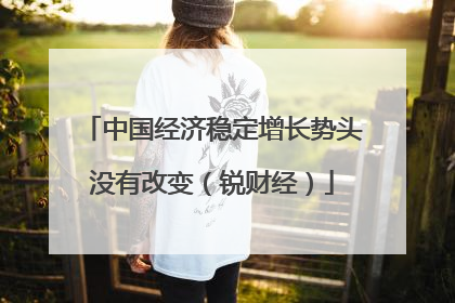 中国经济稳定增长势头没有改变（锐财经）