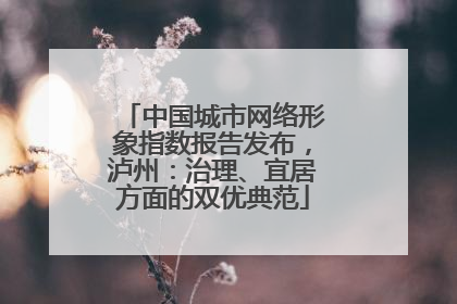 中国城市网络形象指数报告发布，泸州：治理、宜居方面的双优典范