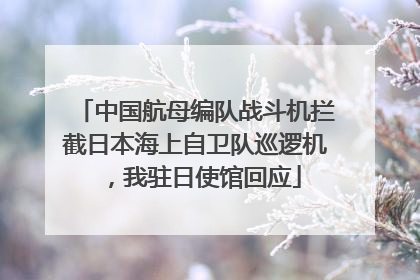 中国航母编队战斗机拦截日本海上自卫队巡逻机，我驻日使馆回应