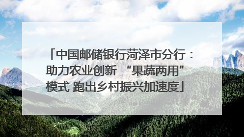 中国邮储银行菏泽市分行：助力农业创新 “果蔬两用”模式 跑出乡村振兴加速度