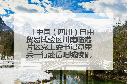 中国（四川）自由贸易试验区川南临港片区党工委书记谭荣兵一行赴岳阳城陵矶综保区考察