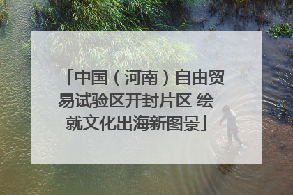 中国（河南）自由贸易试验区开封片区 绘就文化出海新图景