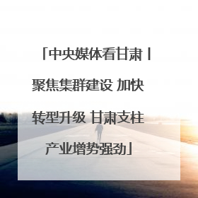 中央媒体看甘肃丨聚焦集群建设 加快转型升级 甘肃支柱产业增势强劲