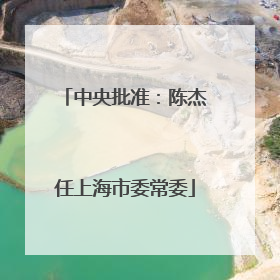 中央批准：陈杰任上海市委常委