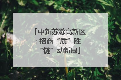 中新苏滁高新区：招商“质”胜 “链”动新局