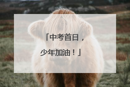 中考首日，少年加油！