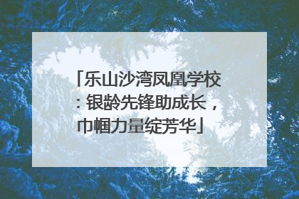 乐山沙湾凤凰学校：银龄先锋助成长，巾帼力量绽芳华
