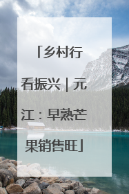 乡村行 看振兴｜元江：早熟芒果销售旺