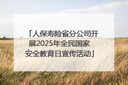 人保寿险省分公司开展2025年全民国家安全教育日宣传活动