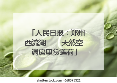 人民日报：郑州西流湖——天然空调房里赏莲荷