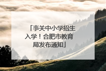 事关中小学招生入学！合肥市教育局发布通知