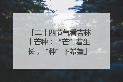 二十四节气看吉林丨芒种：“芒”着生长，“种”下希望