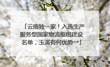 云南独一家！入选生产服务型国家物流枢纽建设名单，玉溪有何优势→
