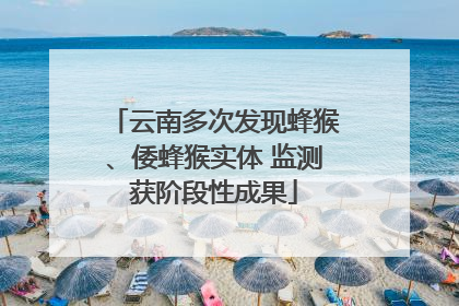 云南多次发现蜂猴、倭蜂猴实体 监测获阶段性成果